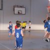trio _basket_15