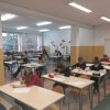 Kangur_2017
