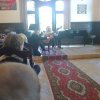 Koncert muzyczny