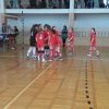 Powiat_siatka_17