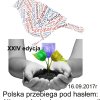 Sprzatanie_17